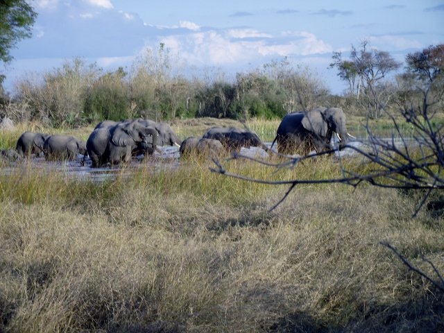 Botswana 068